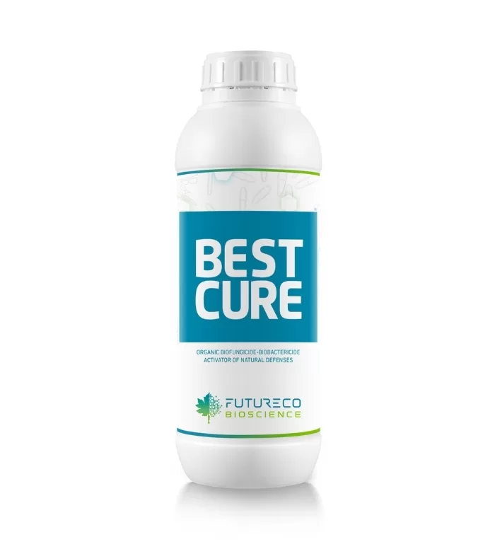 Bestcure