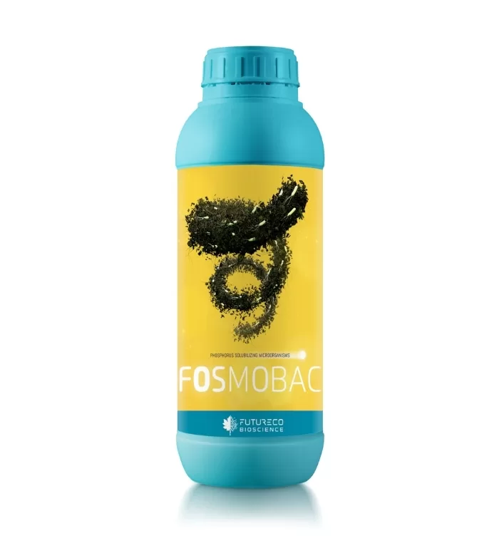 Fosmobac bioestimulante solubilizador de fósforo