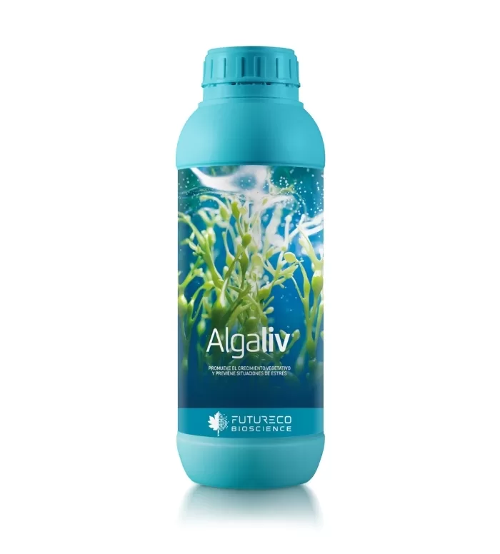 Extracto de algas Ascophyllum nodosum