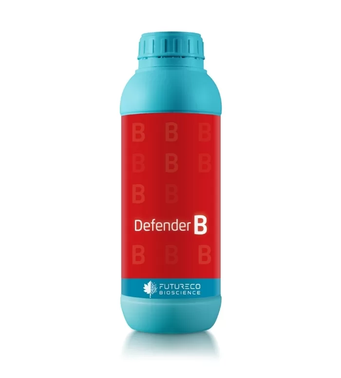 Defender B