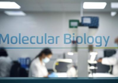 Biologia molecular futureco bioscience