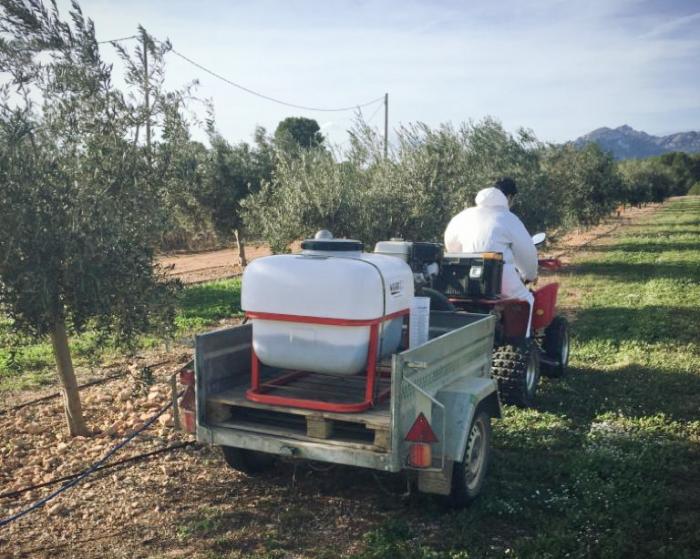 INNOLIVAR biopesticida mosca del olivo