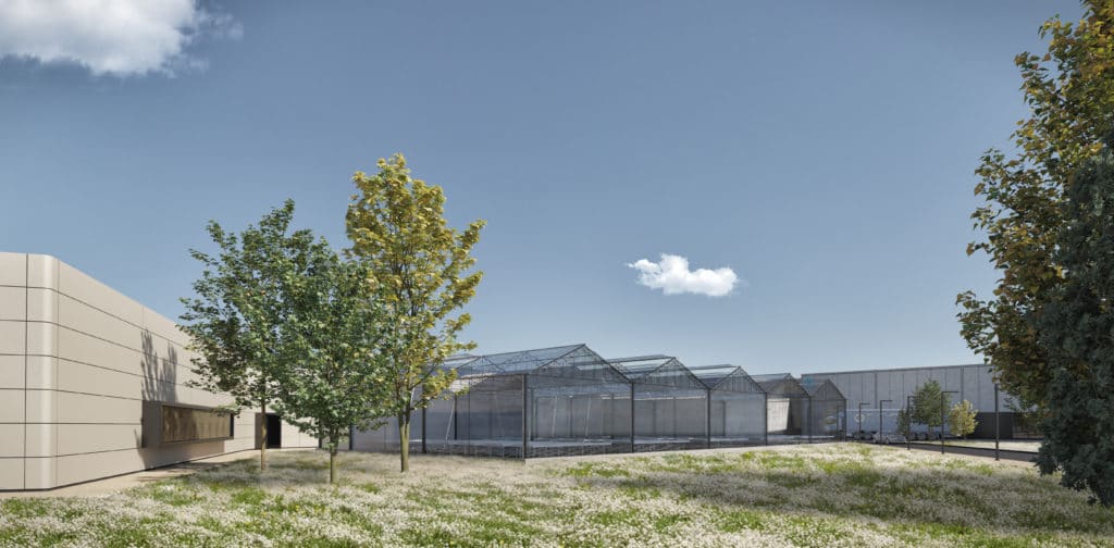Agricultural products for sustainable agriculture - Futureco Bioscience
