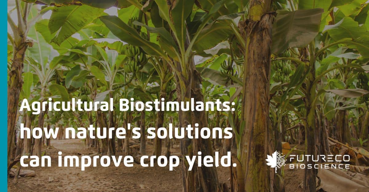 Agricultural biostimulants