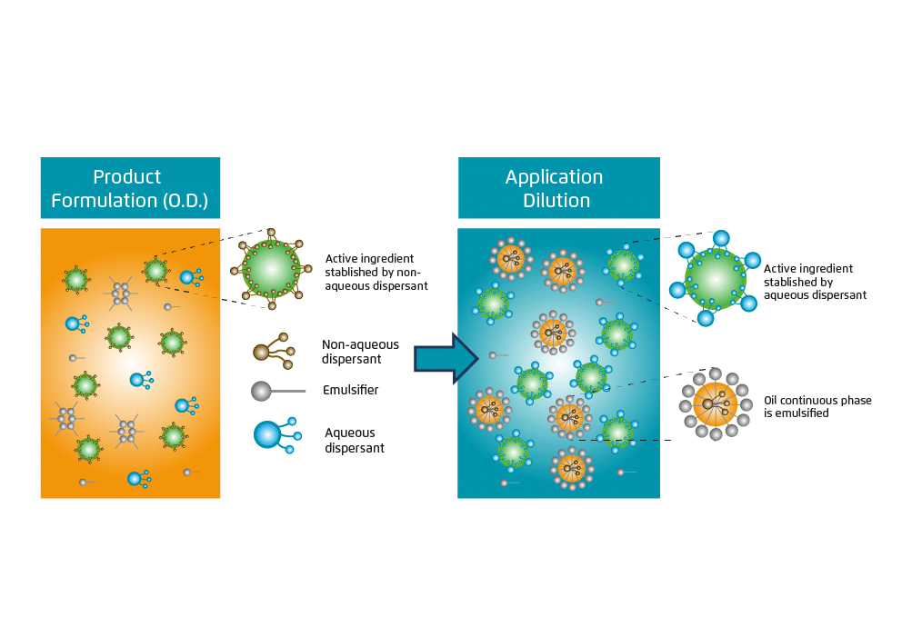 Los adyuvantes desempeñan un papel clave en la bioformulación sostenible