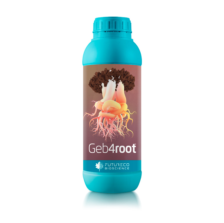 Bioestimulante radicular y de la rizosfera