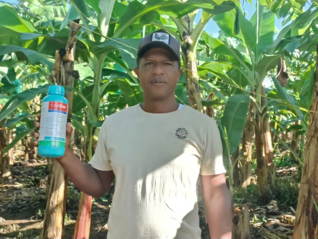 Control-de-la-Sigatoka-Negra