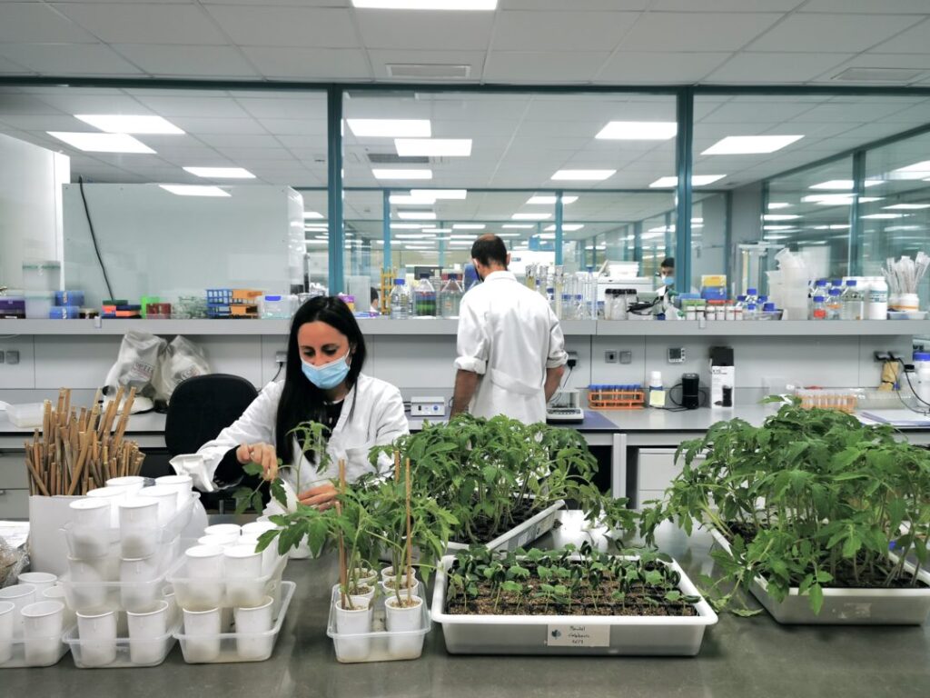 les-biostimulants-agricoles