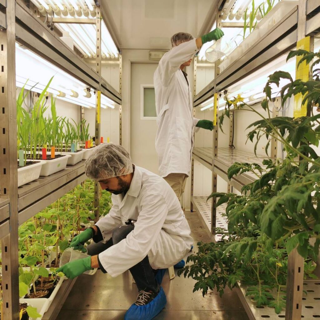 fabricante-de-soluciones-de-biocontrol-para-agricultura-sostenible