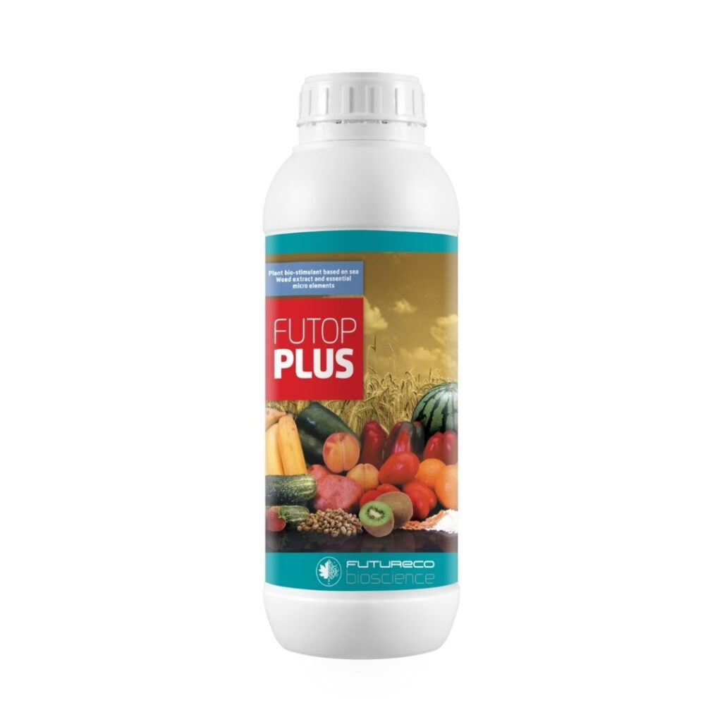 Futop-Plus