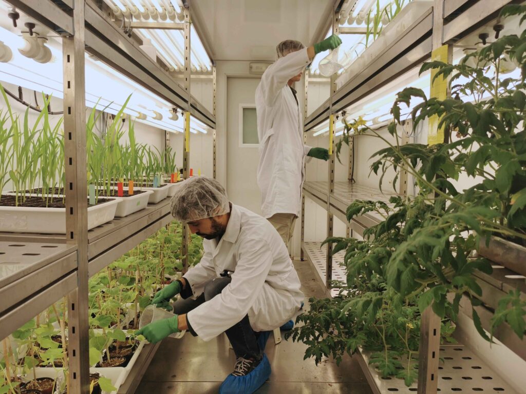 Chamber-biological-crop-solutions-in-China