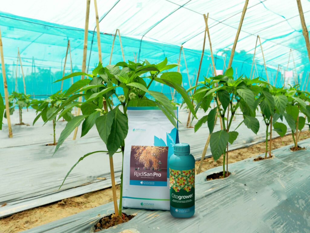 RadisanPro-Citogrower-biological-crop-solutions-in-China