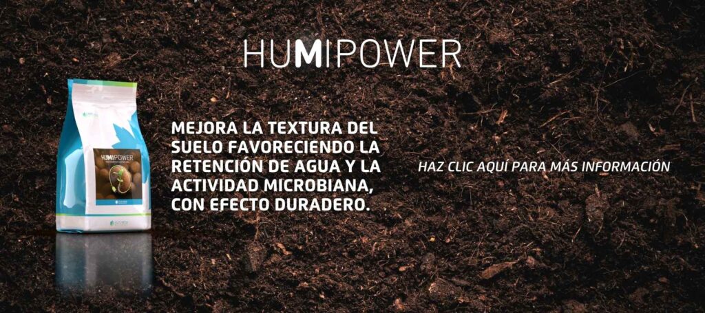 Extractos húmicos: clave para mejorar la fertilidad del suelo y la productividad agrícola