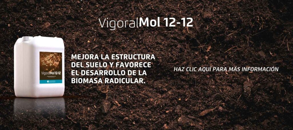 Extractos húmicos: clave para mejorar la fertilidad del suelo y la productividad agrícola