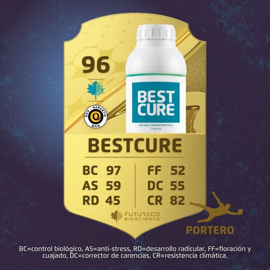 Tu equipo ganador: soluciones sostenibles para cultivos