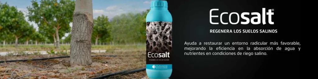 Ecosalt-cultivo-de-pistacho