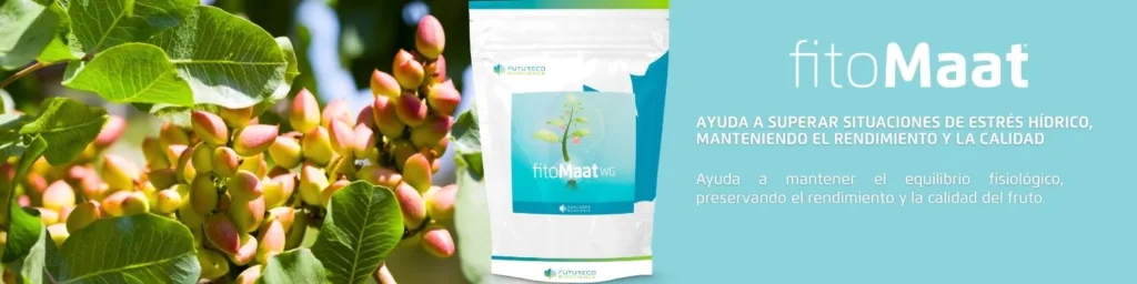 Fitomaat-cultivo-de-pistacho