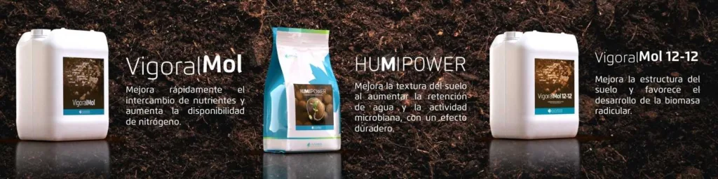 Bioestimulación para optimizar el cultivo de pistacho en 2026: del entusiasmo a la rentabilidad en campo