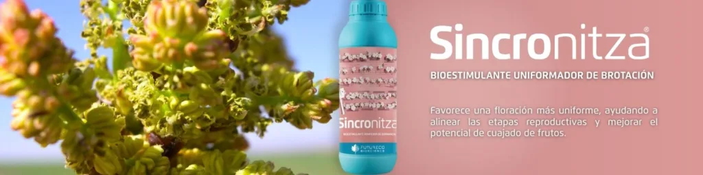 Sincronitza-cultivo-de-pistacho