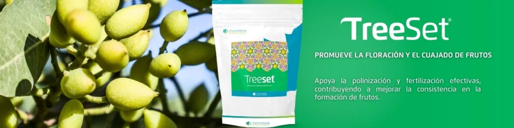 Treeset-cultivo-de-pistacho