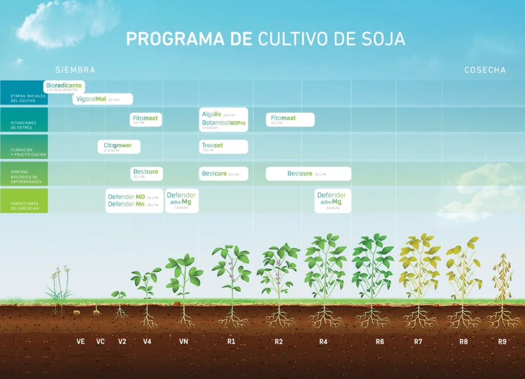 Programa-de-cultivo-de-soja-Futureco-Bioscience