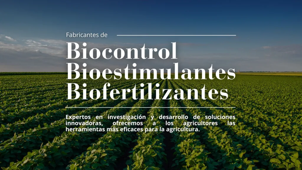 Programa-de-cultivo-de-soja-de-Futureco-Bioscience-Bio