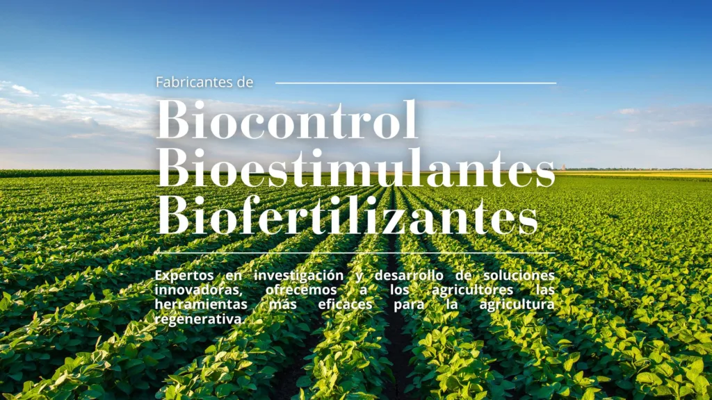 Programa-de-cultivo-de-soja-de-Futureco-Bioscience-Bio