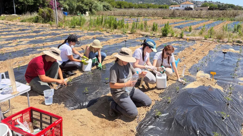 Nuevas plagas, nuevas respuestas: Futureco Bioscience participa en HARMONY para desarrollar nuevas soluciones de protección vegetal
