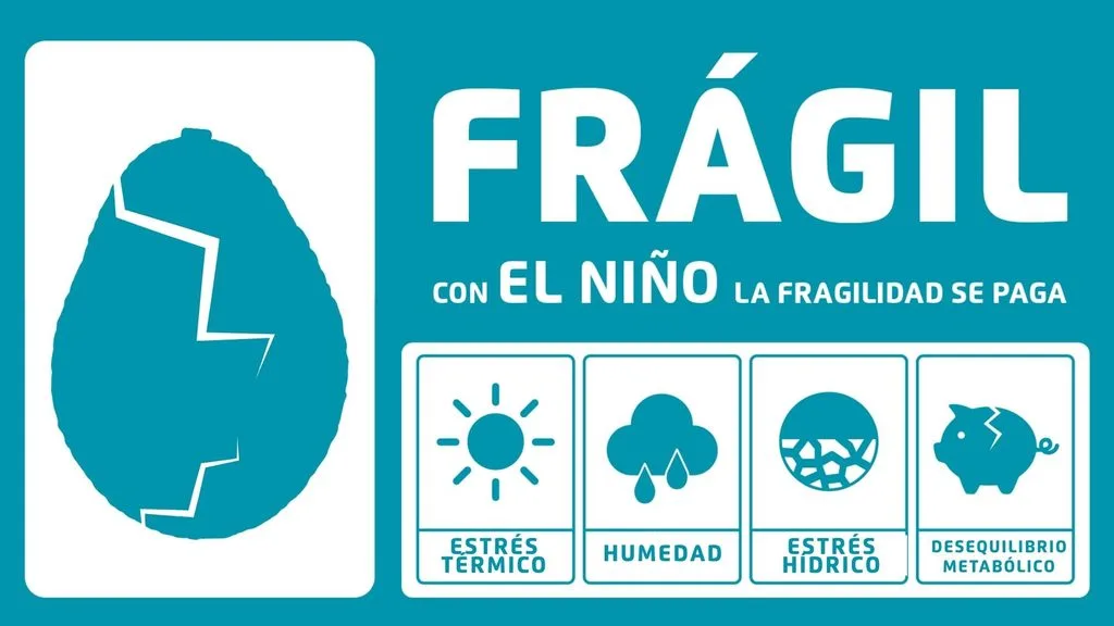 Manejo del aguacate frente al Fenómeno de El Niño: claves para adaptar el cultivo