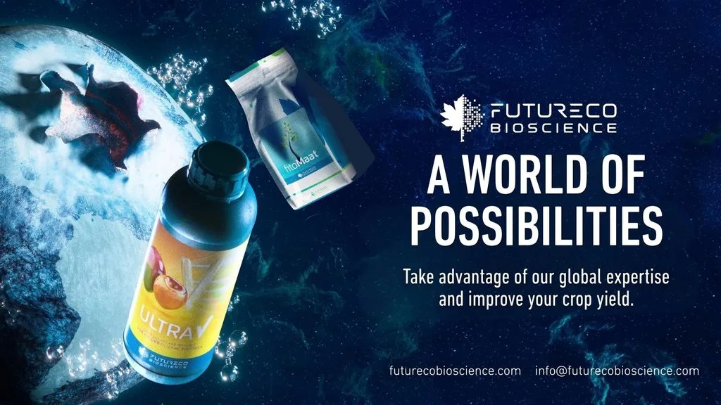 A-World-Of-Possibilities-Technical-Advice