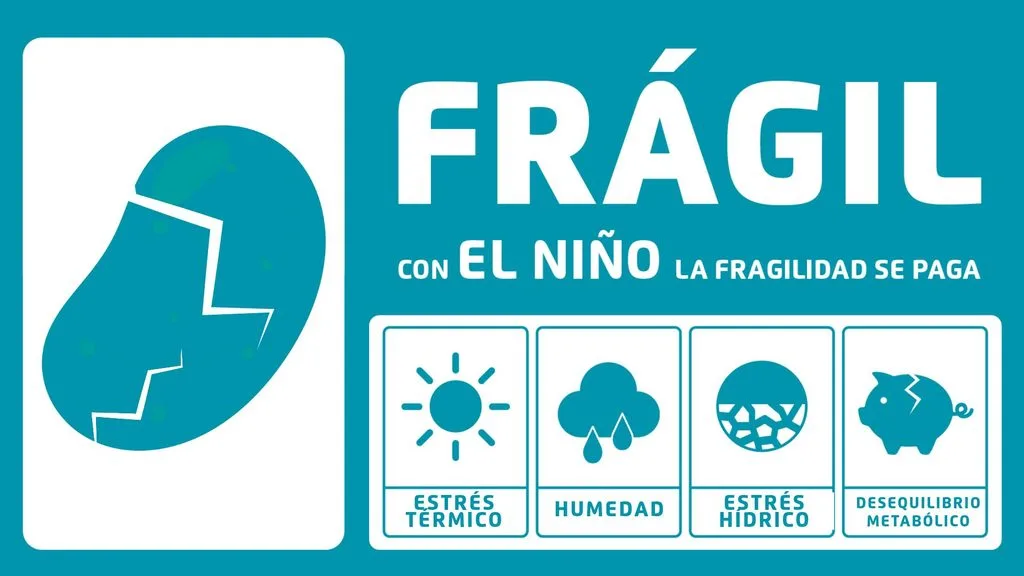 El-manejo-de-la-patata-frente-al-Fenómeno-de-El Niño