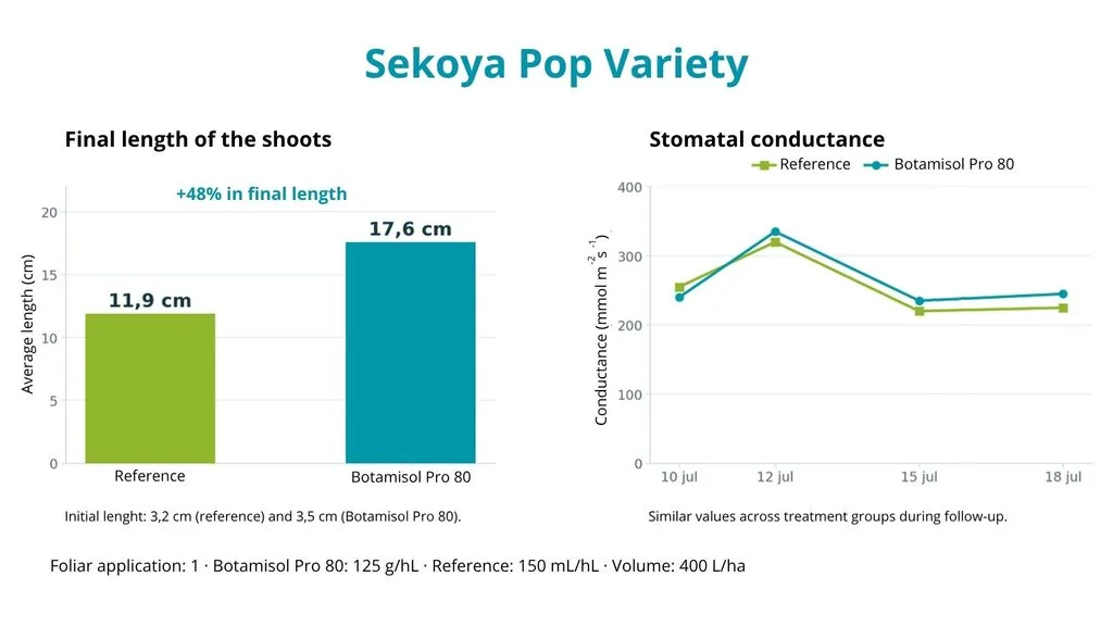Sekoya-Pop-Variety-Biostimulation-in-Blueberry-Under-Stress